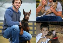 Act of love goes viral: Chase Elliott announces he will invest $20 million to build a “paradise” dedicated to rescuing stray dogs, promising love and homes to thousands of abandoned puppies!