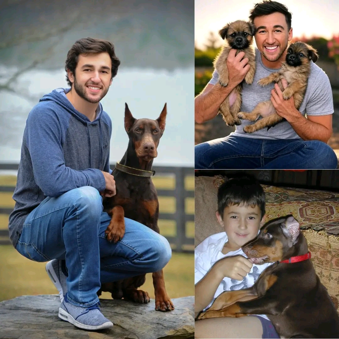 Act of love goes viral: Chase Elliott announces he will invest $20 million to build a “paradise” dedicated to rescuing stray dogs, promising love and homes to thousands of abandoned puppies!